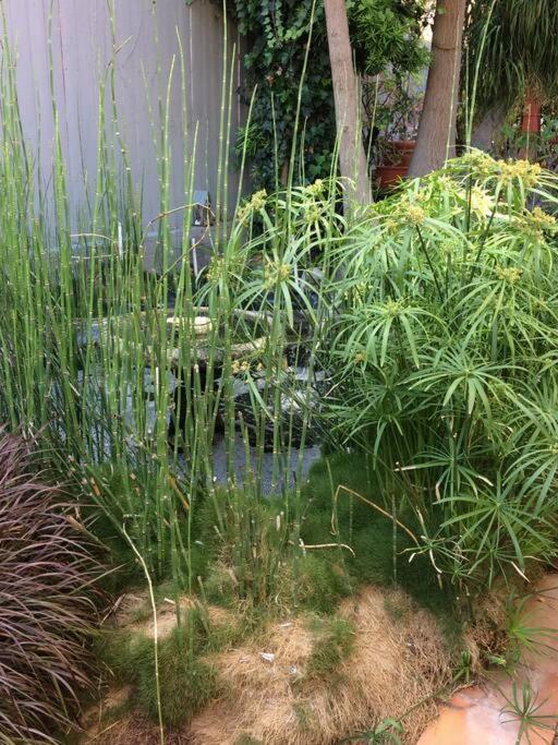 Serenity House Near Gaslamp, San Diego Zoo & Petco Екстериор снимка